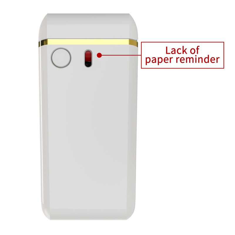 Multifold Countertop Paper Towel Dispenser - White
